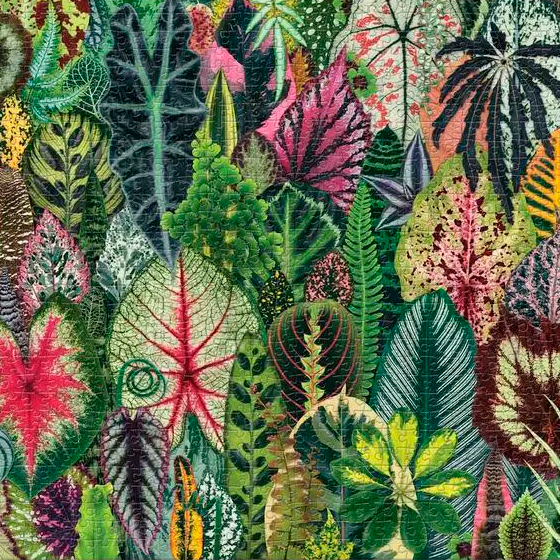 Botanic Sunday